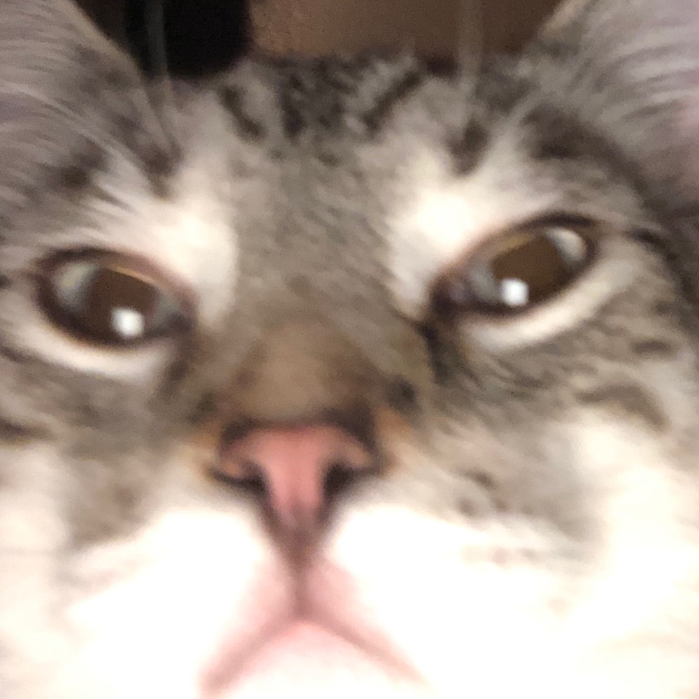 Meet your Posher, Amy